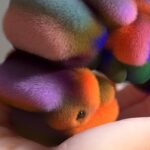 wang soderstrom 3D artwork render colorful furry
