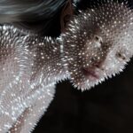 female with metal spikes, avatar 3D, AI art style