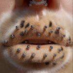 furry lips, ai fashion editorial, creative ai studio, model with nose piercing and metal buds